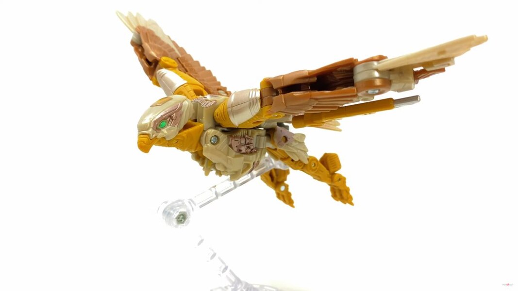 Image Of Rise Of The Beasts Studio Series Airazor Toy  (47 of 55)